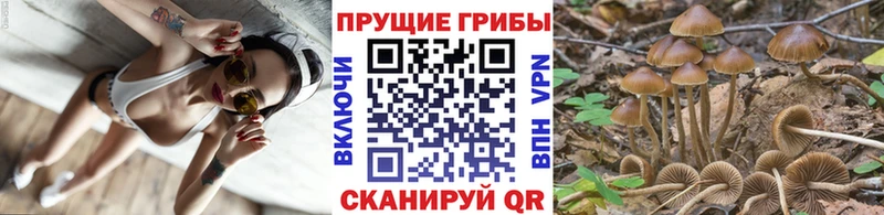 Галлюциногенные грибы мухоморы  Узловая 